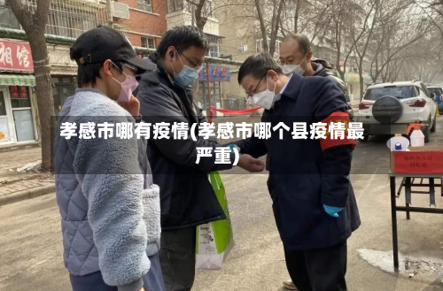孝感市哪有疫情(孝感市哪个县疫情最严重)-第1张图片
