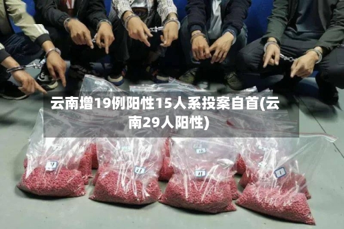 云南增19例阳性15人系投案自首(云南29人阳性)-第2张图片