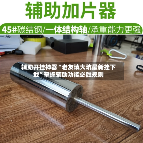 辅助开挂神器“老友填大坑最新挂下载	”掌握辅助功能必胜规则-第1张图片