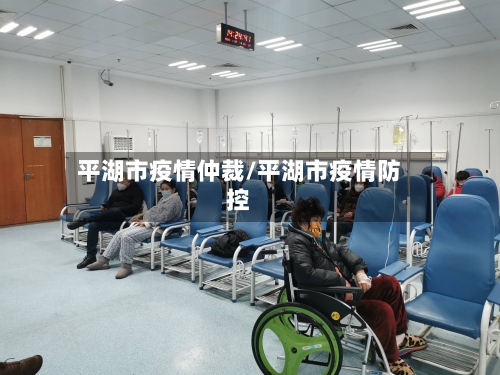 平湖市疫情仲裁/平湖市疫情防控-第3张图片