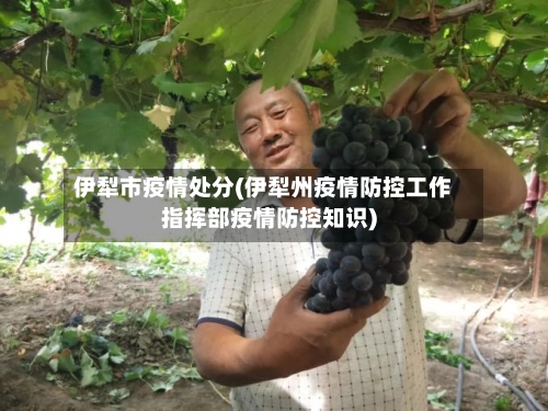 伊犁市疫情处分(伊犁州疫情防控工作指挥部疫情防控知识)-第3张图片