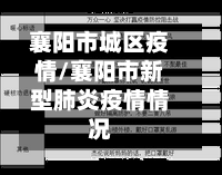 襄阳市城区疫情/襄阳市新型肺炎疫情情况-第3张图片