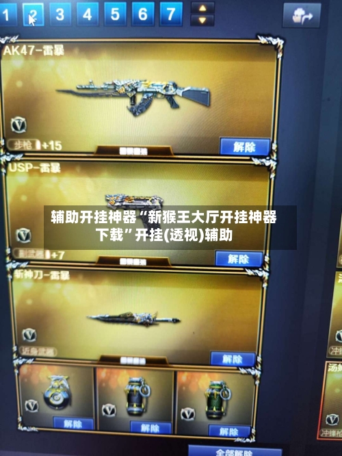 辅助开挂神器“新猴王大厅开挂神器下载”开挂(透视)辅助-第1张图片