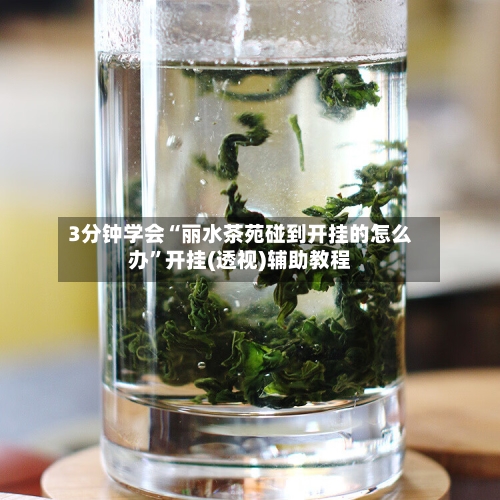 3分钟学会“丽水茶苑碰到开挂的怎么办	”开挂(透视)辅助教程-第1张图片