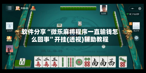 软件分享“微乐麻将程序一直输钱怎么回事	”开挂(透视)辅助教程-第1张图片