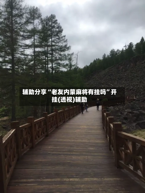 辅助分享“老友内蒙麻将有挂吗”开挂(透视)辅助-第2张图片