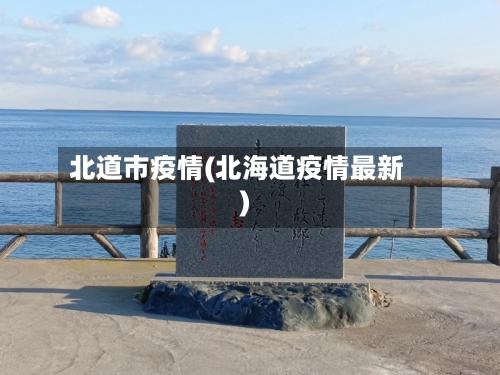 北道市疫情(北海道疫情最新)-第2张图片