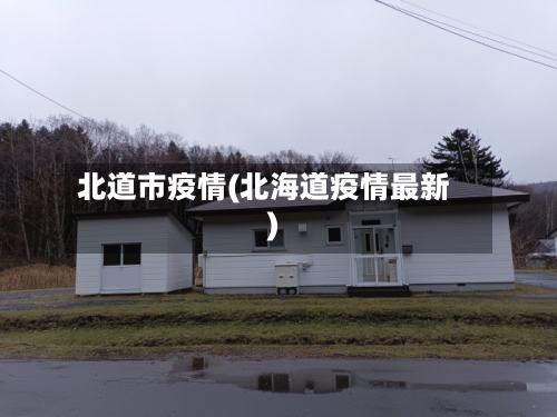 北道市疫情(北海道疫情最新)-第1张图片