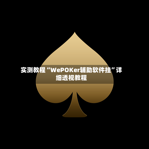 实测教程“WePOKer辅助软件挂”详细透视教程-第1张图片