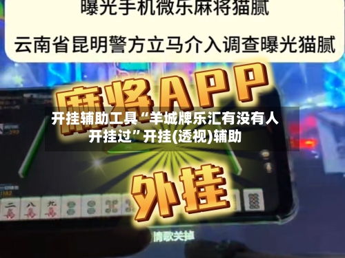 开挂辅助工具“羊城牌乐汇有没有人开挂过”开挂(透视)辅助-第3张图片