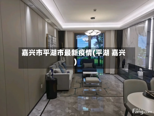 嘉兴市平湖市最新疫情(平湖 嘉兴)-第2张图片