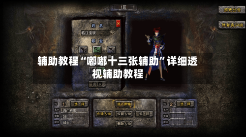 辅助教程“嘟嘟十三张辅助”详细透视辅助教程-第3张图片