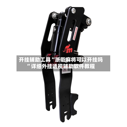 开挂辅助工具“浙衢麻将可以开挂吗	”详细外挂透视辅助软件教程-第1张图片