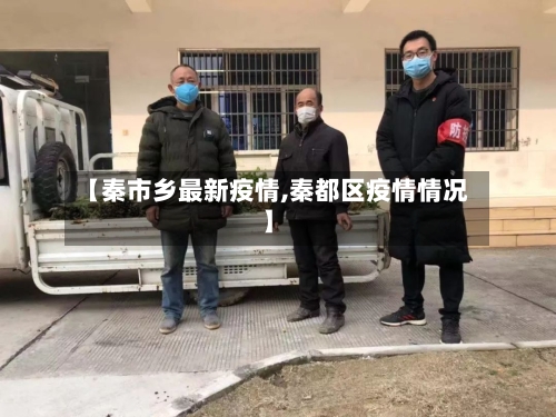 【秦市乡最新疫情,秦都区疫情情况】-第3张图片