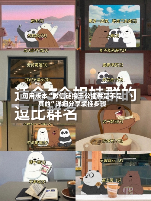 可用版本“微信链接三公插件是不是真的	”详细分享装挂步骤-第2张图片