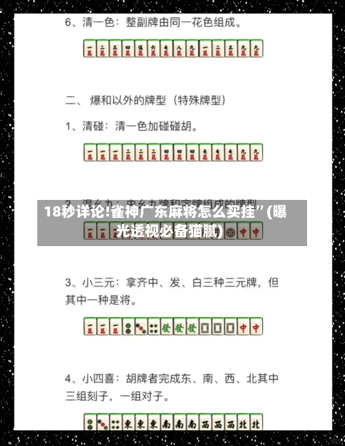 18秒详论!雀神广东麻将怎么买挂”(曝光透视必备猫腻)-第1张图片