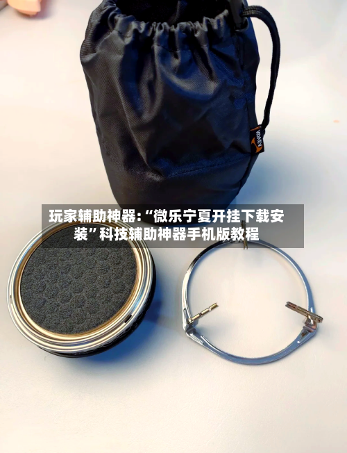 玩家辅助神器:“微乐宁夏开挂下载安装”科技辅助神器手机版教程-第1张图片