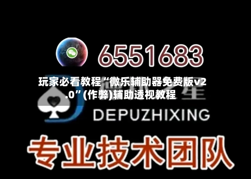 玩家必看教程“微乐辅助器免费版v2.0”(作弊)辅助透视教程-第1张图片