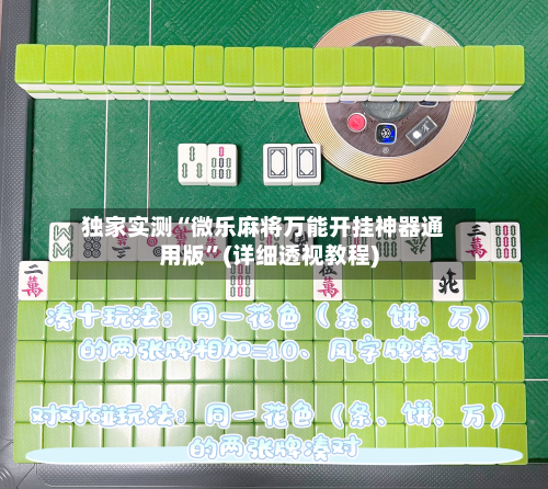 独家实测“微乐麻将万能开挂神器通用版	”(详细透视教程)-第2张图片