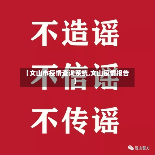 【文山市疫情查询系统,文山疫情报告】-第2张图片
