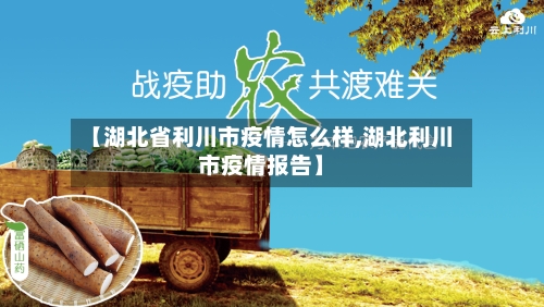 【湖北省利川市疫情怎么样,湖北利川市疫情报告】-第3张图片