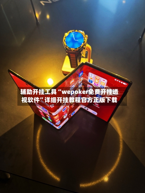 辅助开挂工具“wepoker免费开挂透视软件	”详细开挂教程官方正版下载-第2张图片