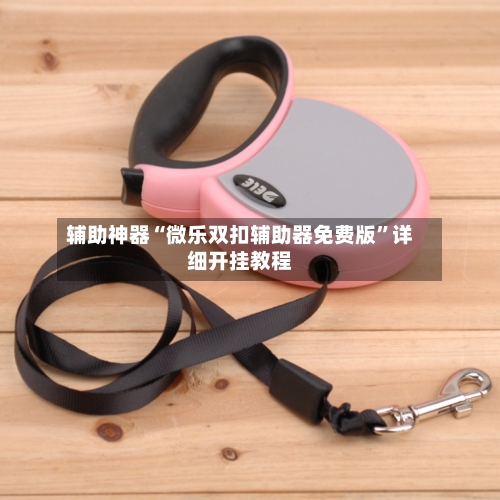 辅助神器“微乐双扣辅助器免费版”详细开挂教程-第2张图片