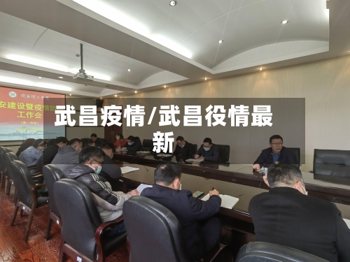 武昌疫情/武昌役情最新-第3张图片