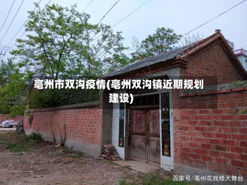 亳州市双沟疫情(亳州双沟镇近期规划建设)-第3张图片