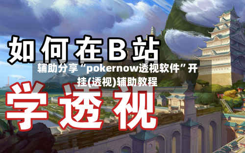 辅助分享“pokernow透视软件”开挂(透视)辅助教程-第3张图片