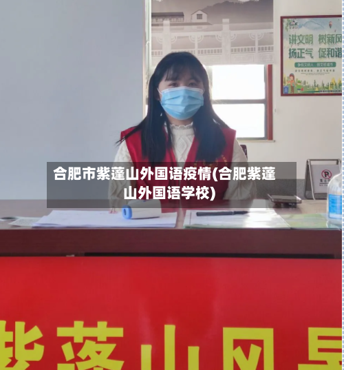 合肥市紫蓬山外国语疫情(合肥紫蓬山外国语学校)-第3张图片