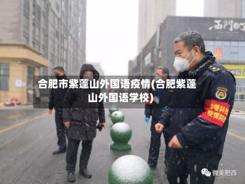 合肥市紫蓬山外国语疫情(合肥紫蓬山外国语学校)-第1张图片