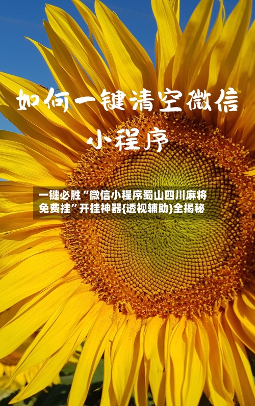 一键必胜“微信小程序蜀山四川麻将免费挂”开挂神器{透视辅助}全揭秘-第2张图片