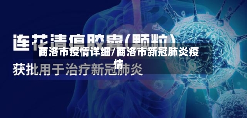 商洛市疫情详细/商洛市新冠肺炎疫情-第3张图片