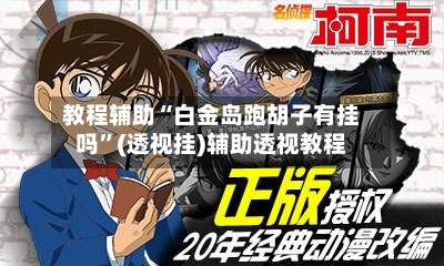 教程辅助“白金岛跑胡子有挂吗	”(透视挂)辅助透视教程-第2张图片