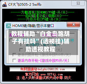 教程辅助“白金岛跑胡子有挂吗”(透视挂)辅助透视教程-第3张图片