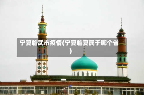 宁夏临武市疫情(宁夏临夏属于哪个省)-第2张图片