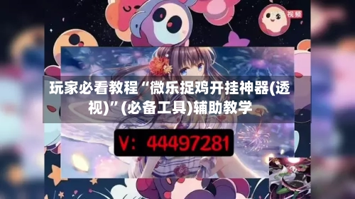 玩家必看教程“微乐捉鸡开挂神器(透视)”(必备工具)辅助教学-第1张图片